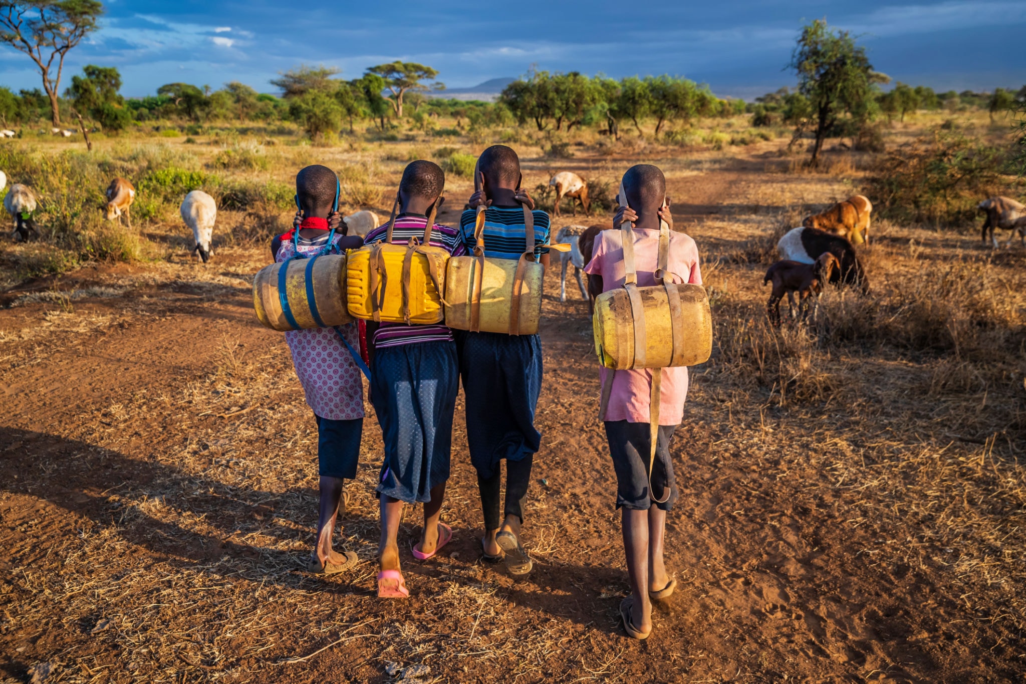 Children carrying water containers walking through the African savanna